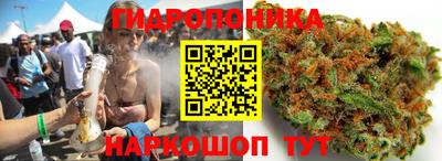 круглые Кингисепп