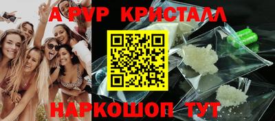 круглые Кингисепп